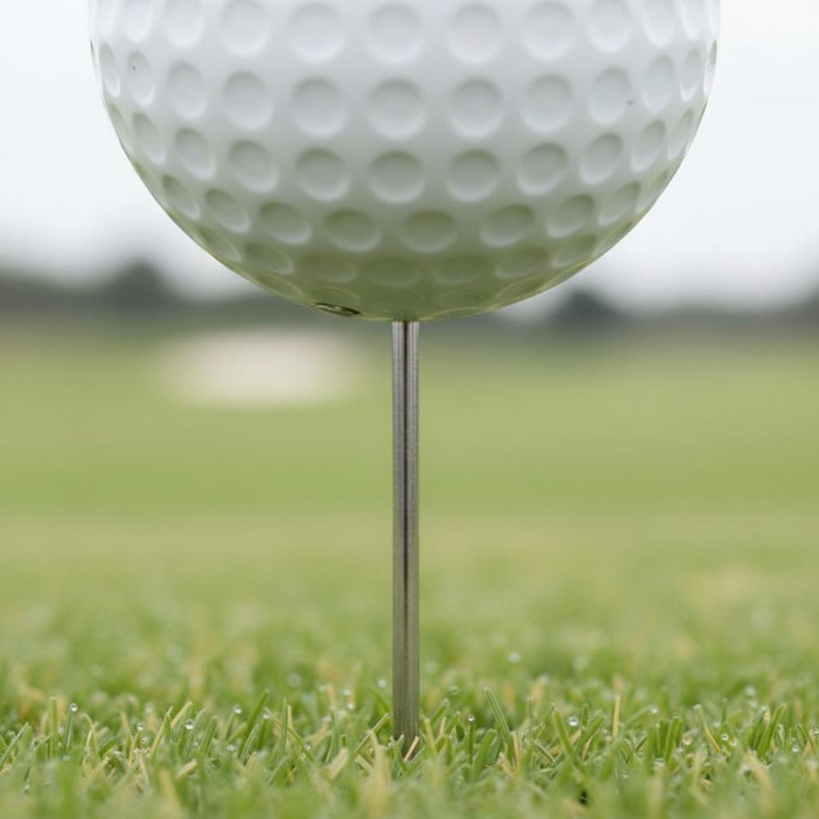 Marcador de Forma de Bola de G - Golf Tees avaliação e preço